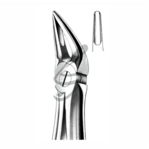 Zahnzange Fig 30
