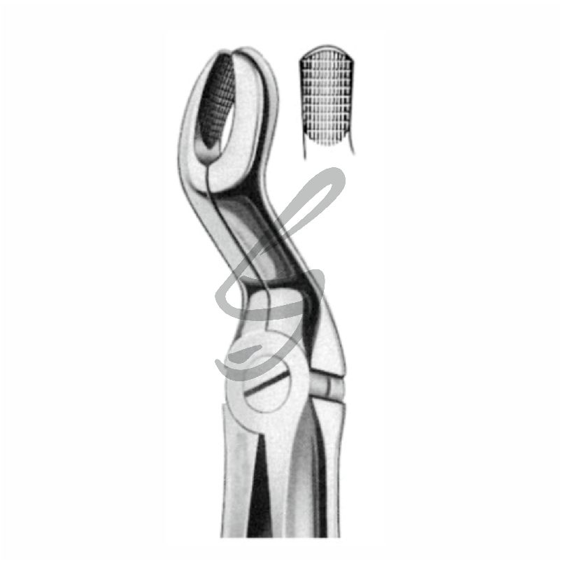 Zahnzange Fig 67A